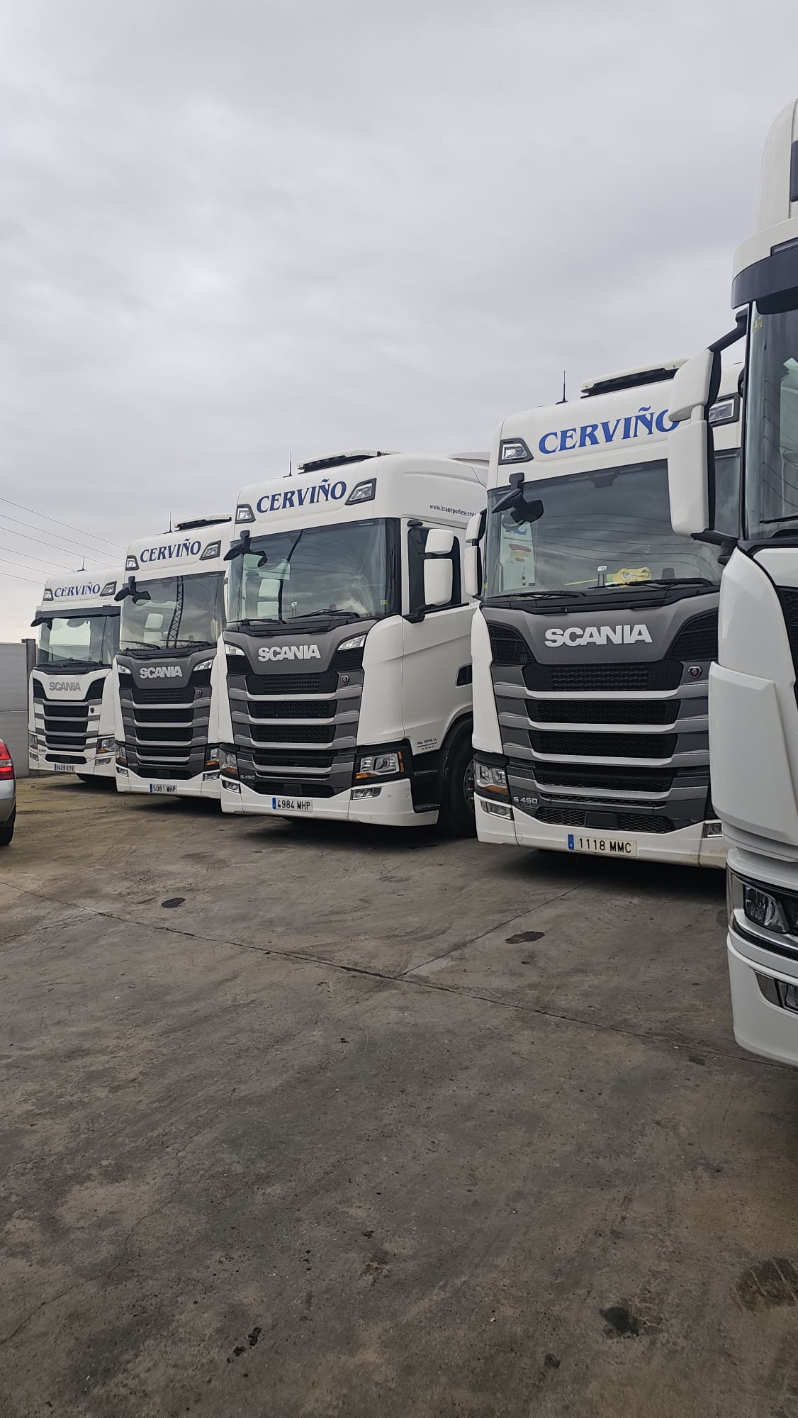 Fila de cabezas tractoras de Cerviño en las instalaciones